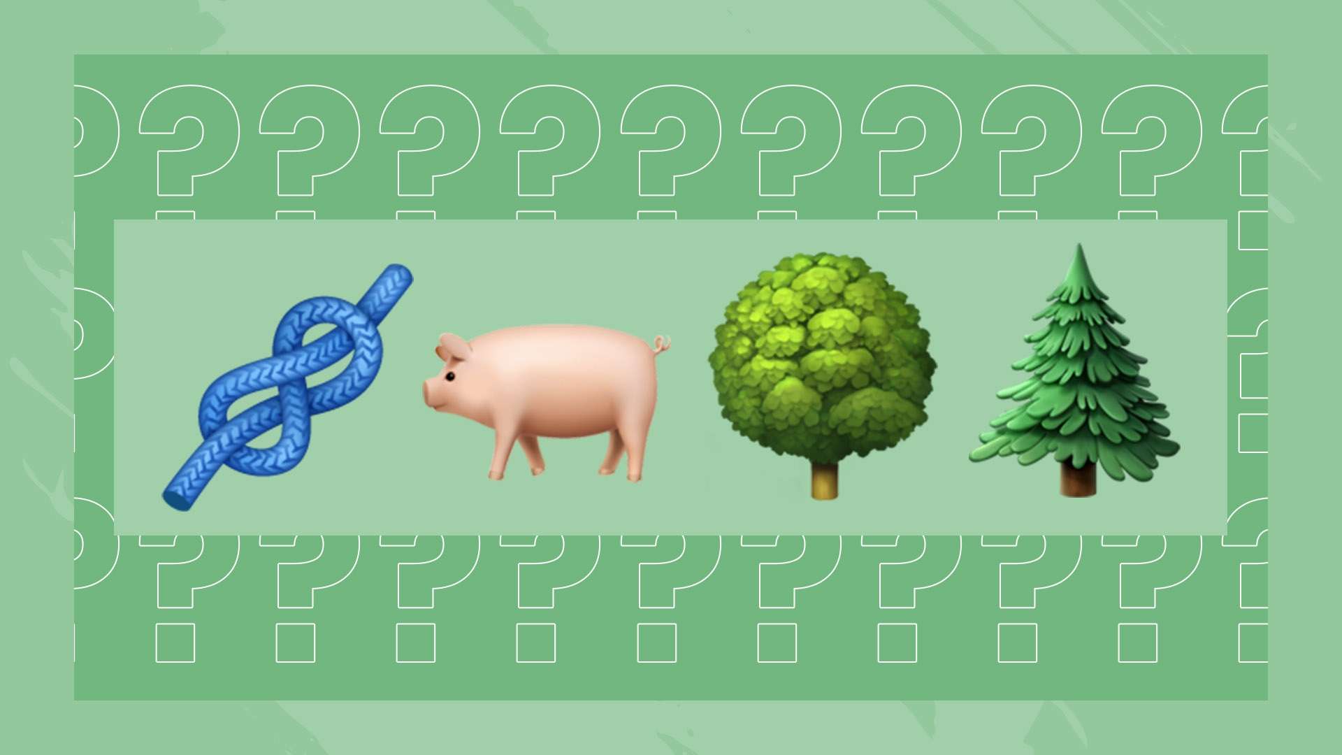 荷蘭足協承諾 若球員受到物品襲擊將取消該場比賽.